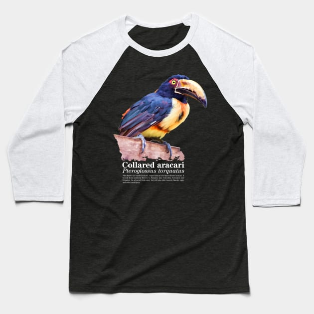 Collared aracari tropical bird white text Baseball T-Shirt by Ornamentum